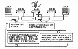 計算機網(wǎng)絡中的IP相關技術與開發(fā)實踐